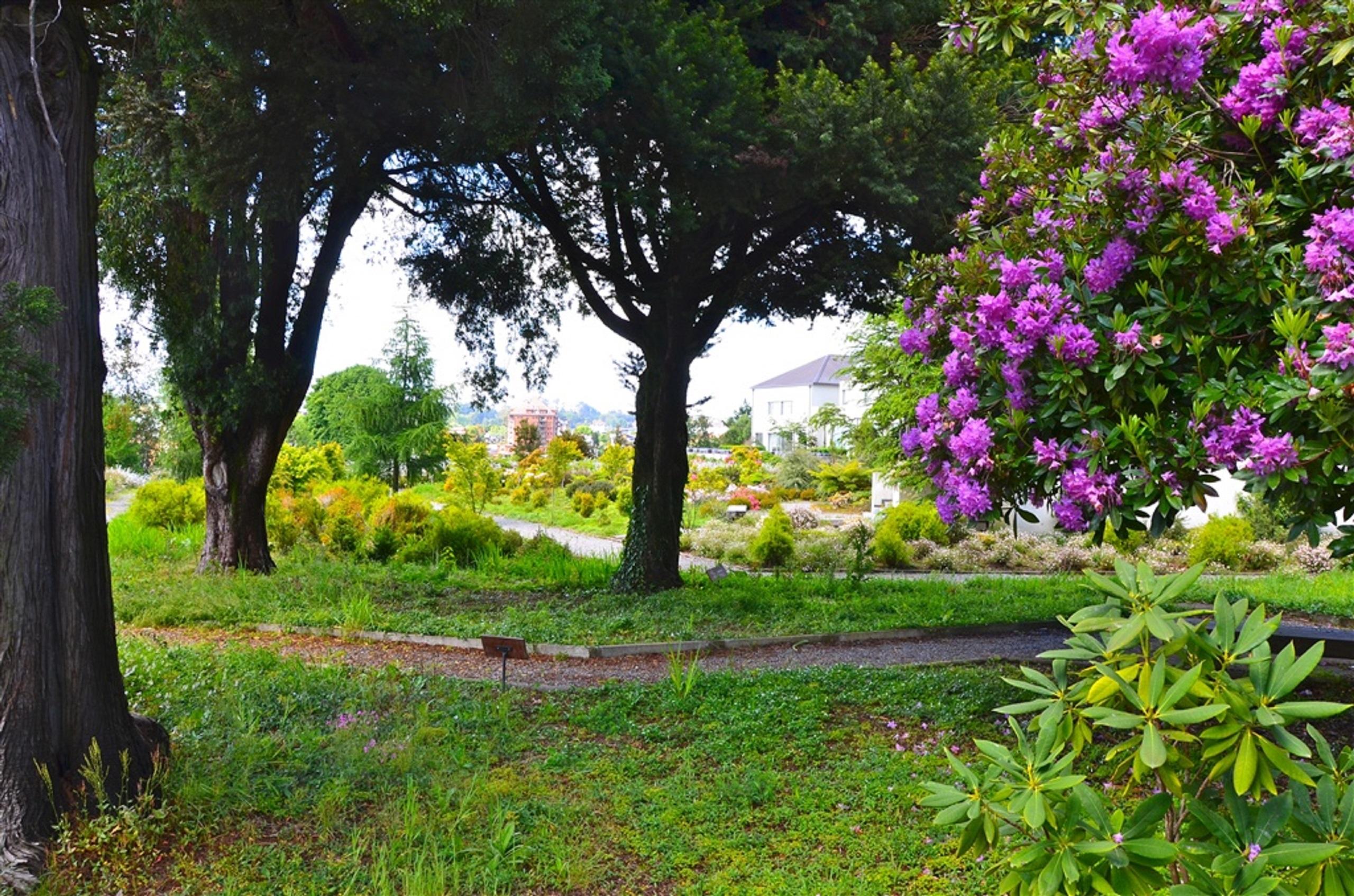 Enjoy Puerto Varas Exterior photo The park